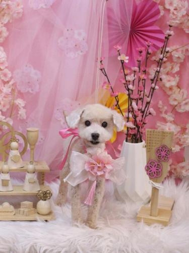 20250306れおんくん